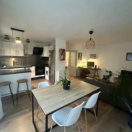 Appartamento Calme Avec Clim, Balcon Et Parking Ovalie